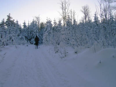 Winter2004,2005 075